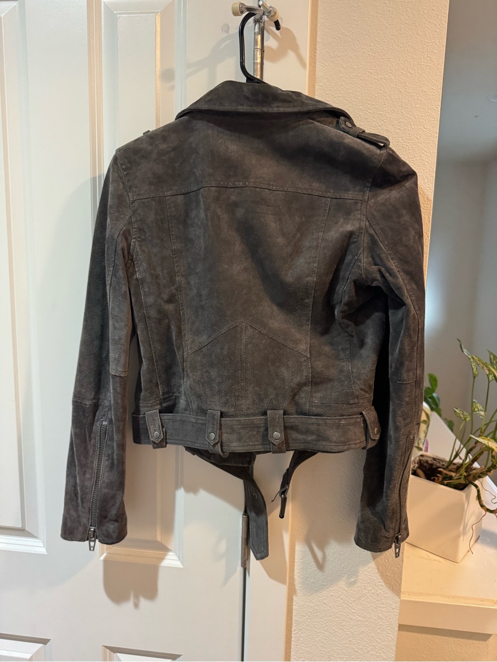 Blank NYC Gray Suede Moto Jacket with Belted Waist - Picture 3 of 3